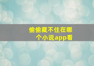 偷偷藏不住在哪个小说app看