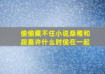 偷偷藏不住小说桑稚和段嘉许什么时侯在一起