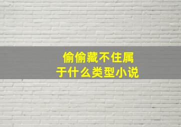 偷偷藏不住属于什么类型小说