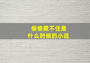 偷偷藏不住是什么时候的小说