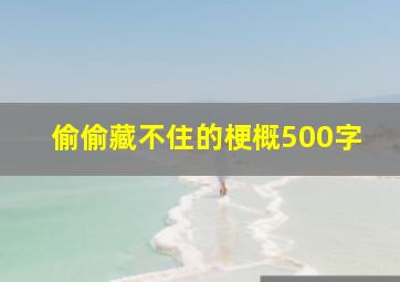 偷偷藏不住的梗概500字