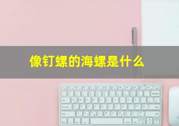 像钉螺的海螺是什么