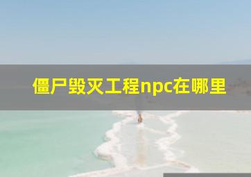 僵尸毁灭工程npc在哪里