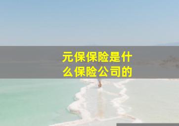 元保保险是什么保险公司的