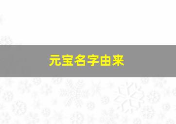 元宝名字由来