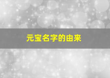 元宝名字的由来