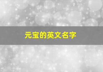 元宝的英文名字