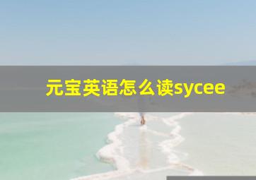 元宝英语怎么读sycee