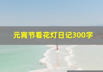 元宵节看花灯日记300字