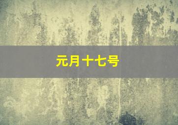 元月十七号