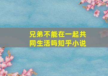 兄弟不能在一起共同生活吗知乎小说