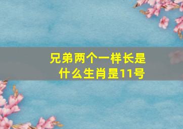 兄弟两个一样长是什么生肖昰11号