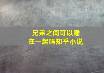 兄弟之间可以睡在一起吗知乎小说