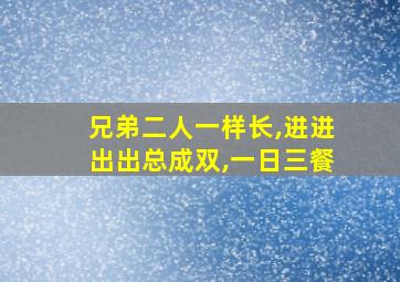 兄弟二人一样长,进进出出总成双,一日三餐