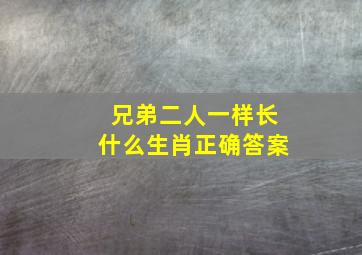 兄弟二人一样长什么生肖正确答案