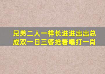 兄弟二人一样长进进出出总成双一日三餐抢着唱打一肖