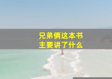 兄弟俩这本书主要讲了什么