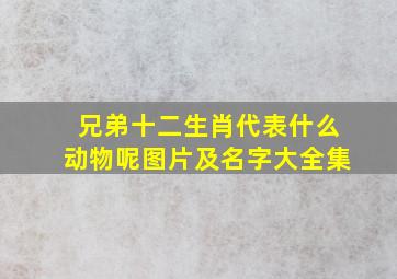 兄弟十二生肖代表什么动物呢图片及名字大全集