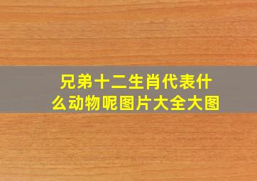 兄弟十二生肖代表什么动物呢图片大全大图