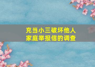 充当小三破坏他人家庭举报信的调查