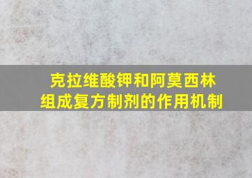 克拉维酸钾和阿莫西林组成复方制剂的作用机制