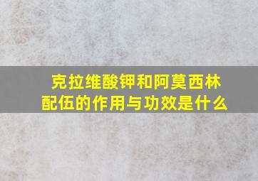 克拉维酸钾和阿莫西林配伍的作用与功效是什么