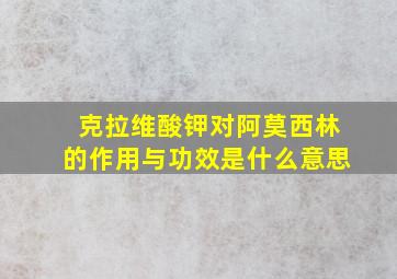 克拉维酸钾对阿莫西林的作用与功效是什么意思