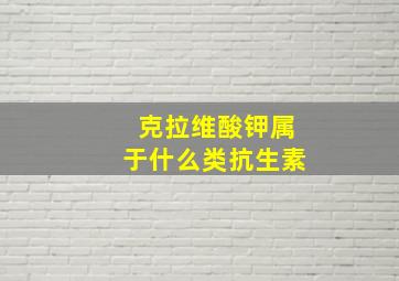 克拉维酸钾属于什么类抗生素