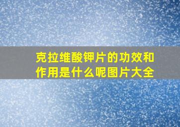 克拉维酸钾片的功效和作用是什么呢图片大全