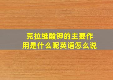 克拉维酸钾的主要作用是什么呢英语怎么说