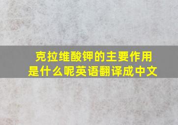 克拉维酸钾的主要作用是什么呢英语翻译成中文