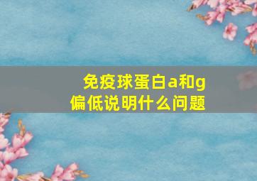 免疫球蛋白a和g偏低说明什么问题