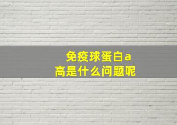 免疫球蛋白a高是什么问题呢