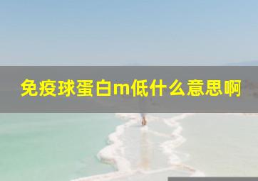 免疫球蛋白m低什么意思啊