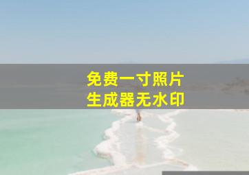 免费一寸照片生成器无水印