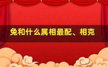 兔和什么属相最配、相克