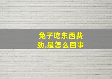 兔子吃东西费劲,是怎么回事