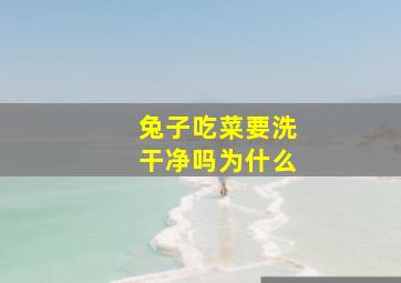 兔子吃菜要洗干净吗为什么