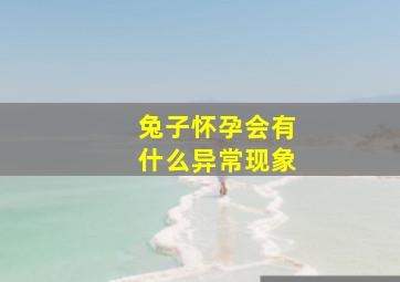 兔子怀孕会有什么异常现象