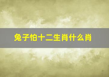 兔子怕十二生肖什么肖