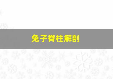 兔子脊柱解剖