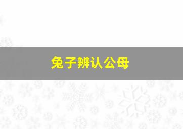 兔子辨认公母