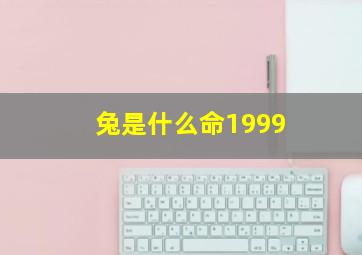 兔是什么命1999