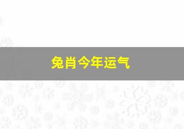 兔肖今年运气