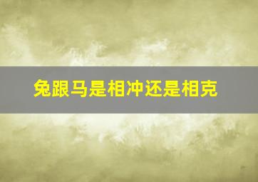 兔跟马是相冲还是相克