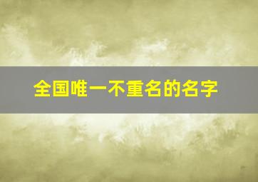 全国唯一不重名的名字