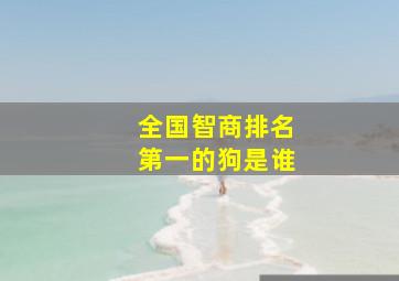 全国智商排名第一的狗是谁