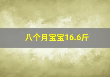 八个月宝宝16.6斤