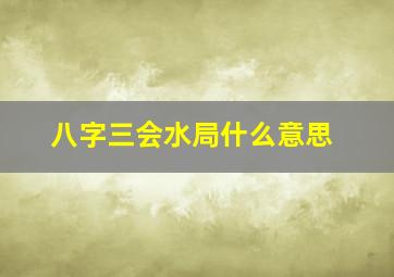 八字三会水局什么意思