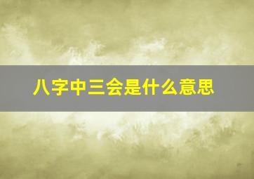 八字中三会是什么意思